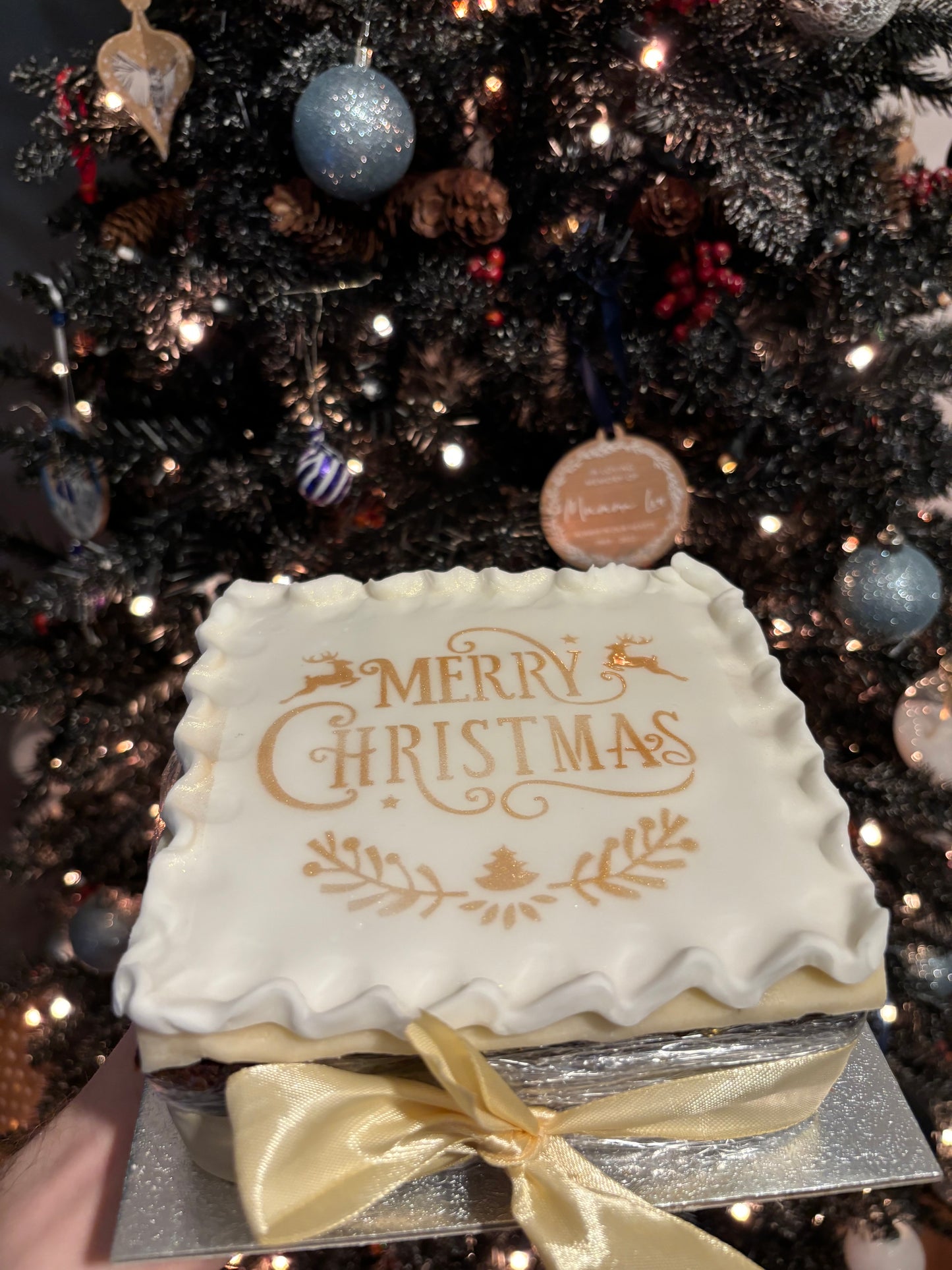 Brandy Soaked Fruit Cake (Pick Up in December Only)